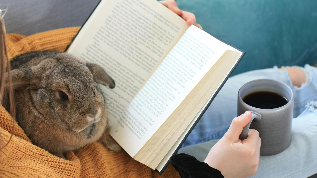 Learner studying with an Easter bunny